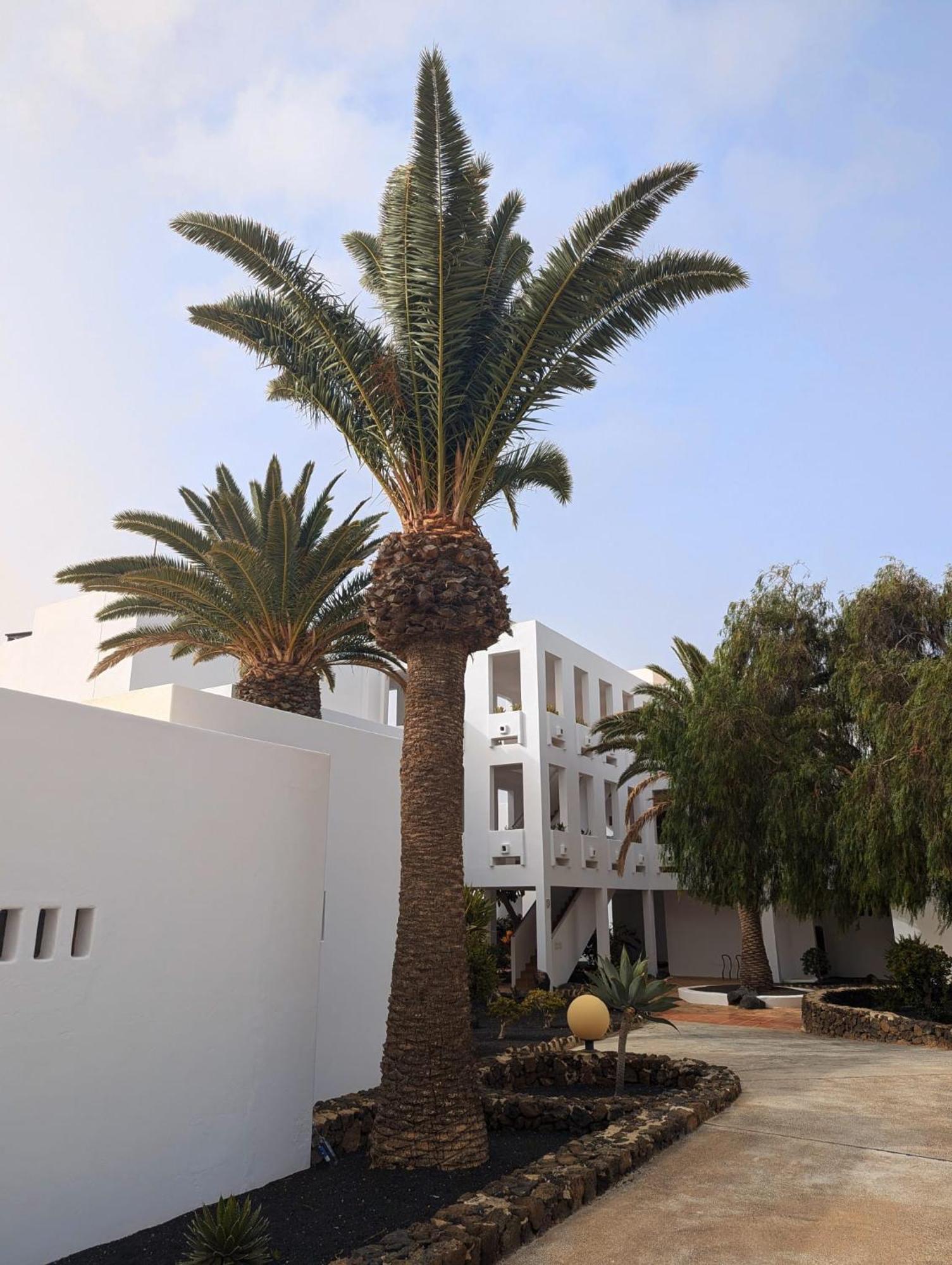 Charming Flat In Los Molinos With Terrace & Pools, Near Playa Bastian Costa Teguise Esterno foto